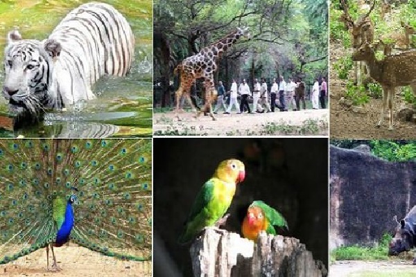 Zoo Park prices will be high 