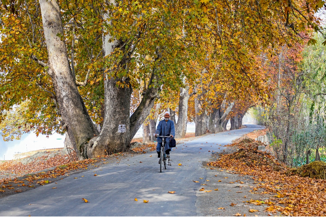 Daylight can boost immune systems ability to ward off infections Study