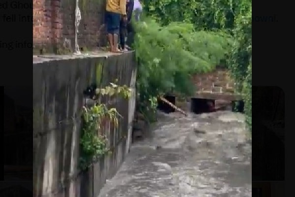 Corporator Rescues Man Who Fell into Drain in Hyderabad