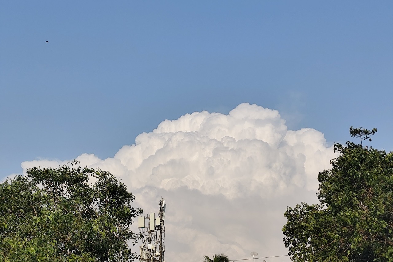 Telangana Rains Heavy Rainfall Expected in Several Districts