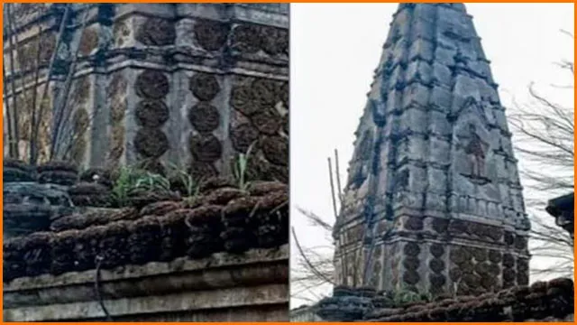 పాక్ లో 125 ఏళ్ల హిందూ ఆలయం కూల్చివేత.. భగ్గుమన్న మైనారిటీ సంఘాలు పాక్ లో 125 ఏళ్ల హిందూ ఆలయం కూల్చివేత.. భగ్గుమన్న మైనారిటీ సంఘాలు