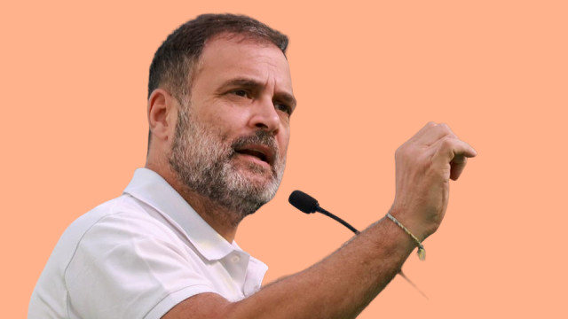 ద్వంద్వ పౌరసత్వం... రాహుల్ గాంధీపై కేసు నమోదు చేయాలని హైకోర్టు ఆదేశాలు