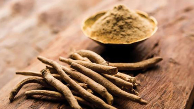 అశ్వగంధ ఆకులపై కేంద్రం నిషేధం.. కారణం ఇదే!