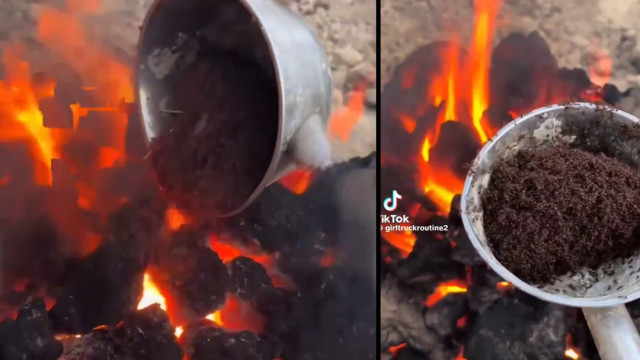 చీమల మారణహోమం... టిక్‌టాక్‌లో వైరల్ వీడియోపై తీవ్ర దుమారం!