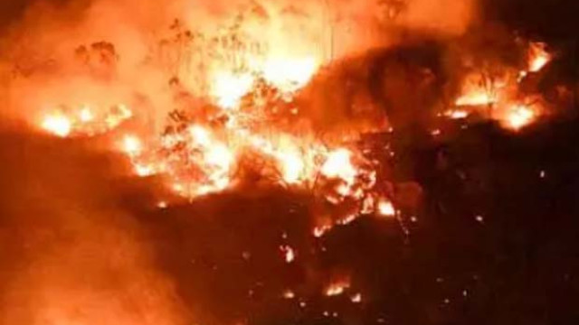 శేషాచలం అడవుల్లో భారీ అగ్నిప్రమాదం.. అదుపులోకి తెచ్చిన అధికారులు