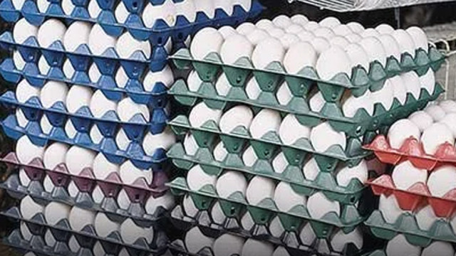 నెల రోజుల్లోనే భారీగా పెరిగిన కోడిగుడ్డు ధర