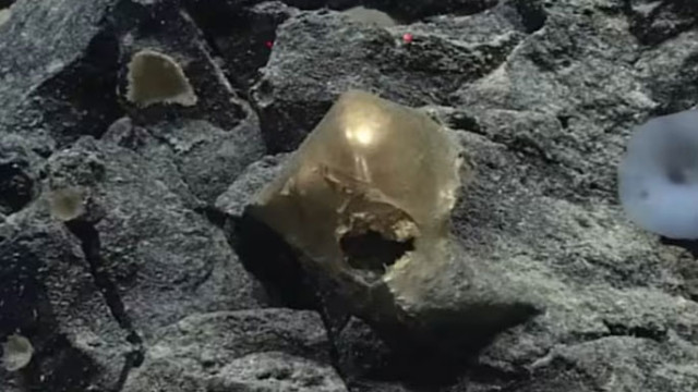 గ్రహాంతరవాసుల టెక్నాలజీ కాదు.. సముద్ర గర్భంలో 'బంగారు గుడ్డు' మిస్టరీ వీడింది!