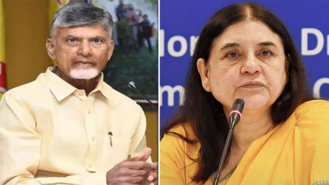 అది మారణకాండ.. దేశం మొత్తం చూస్తోంది.. ఆపండి: గంగమ్మ జాతరపై సీఎం చంద్రబాబుకు మేనకా గాంధీ లేఖ