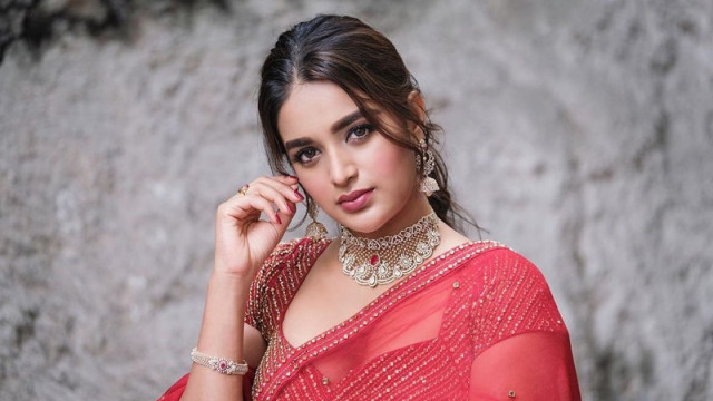 ట్రోల్స్ పట్టించుకోను: నిధి అగర్వాల్