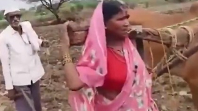 ఎద్దు స్థానంలో పొలం దున్నిన మహిళ.. స్పందించిన మహారాష్ట్ర ప్రభుత్వం