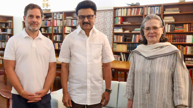 రాహుల్‌ గాంధీకి రాజకీయ పరిణతి లేదు.. కాంగ్రెస్‌పై డీఎంకే ఘాటు విమర్శలు
