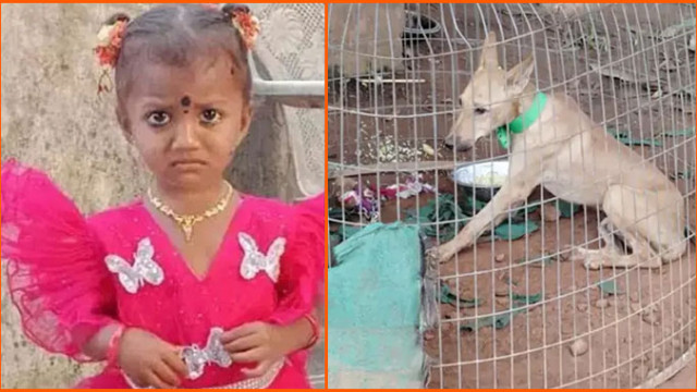 జ్ఞానేశ్వరి మిస్సింగ్ మిస్టరీ.. వీడని ఉత్కంఠ.. సీసీ కెమెరాలో రికార్డయిన పెంపుడు కుక్క కీలక దృశ్యాలు
