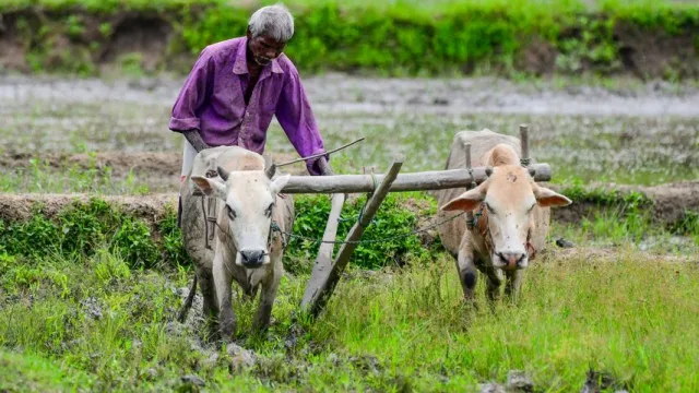 రైతులకు కేంద్రం గుడ్న్యూస్.. రబీ పంటల మద్దతు ధర పెంపు – politics రైతులకు కేంద్రం గుడ్న్యూస్.. రబీ పంటల మద్దతు ధర పెంపు – politics