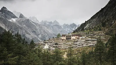Powerful earthquake in Tibet magnitude 70 on Richter scale