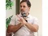 Rahul Gandhi urged by traders to postpone INDIA bloc rally due to 10000 crore loss