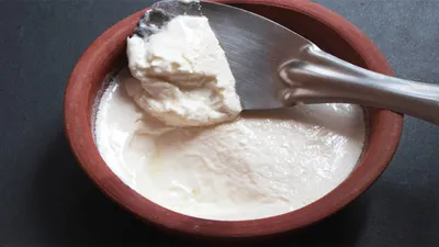 Can you eat curd in winter Does it cause cold Here is the experts answer