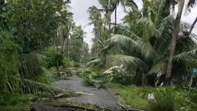 Cyclone Arnab rattles Andhra Pradesh 7 killed in separate incidents