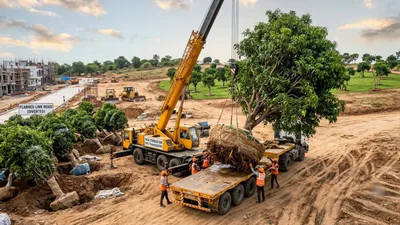 Hyderabad Real Estate Developer saves 800 mango trees here are the details