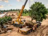 Hyderabad Real Estate Developer saves 800 mango trees here are the details