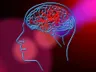 NIMHANS study reveals link between Vitamin B6 and stroke risk in youth