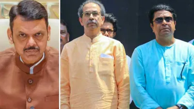 Devendra Fadnavis meets Thackeray brothers sparking new twist in Maharashtra politics