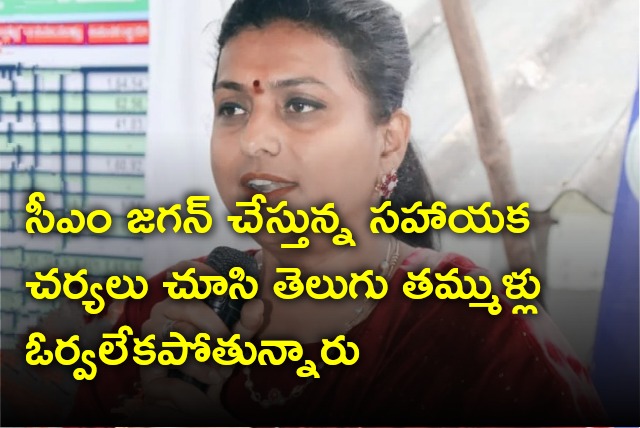 Roja slams TDP leaders