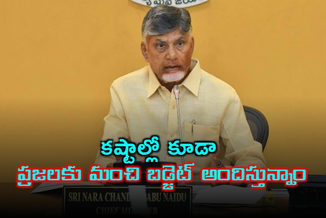 CM Chandrababu held meeting of TDLP