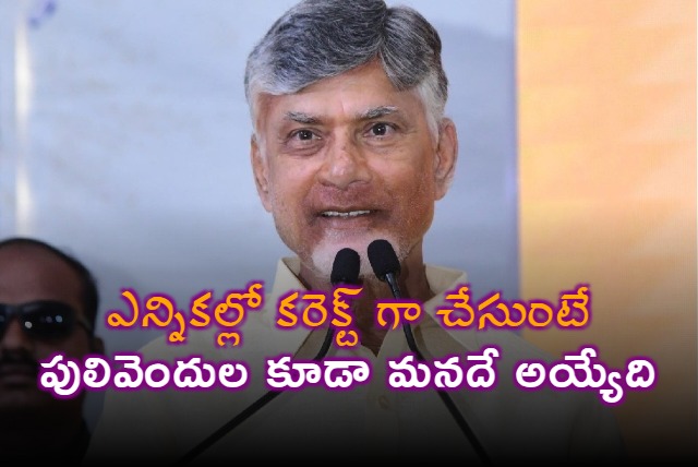 CM Chandrababu Naidu said that if the party works properly TDP will also capture Pulivendula